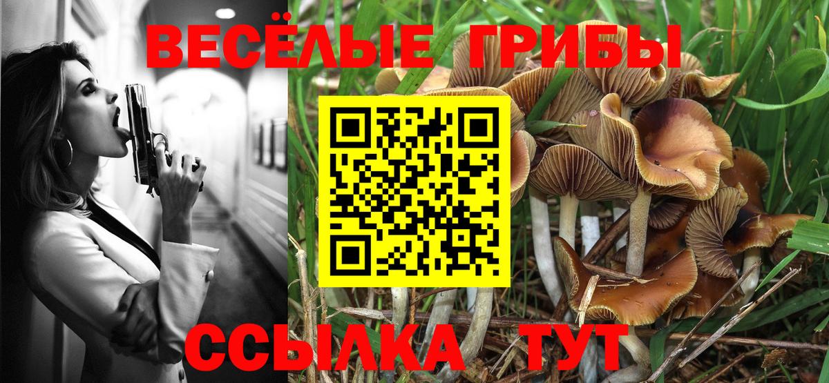 Галлюциногенные грибы мицелий Арсеньев