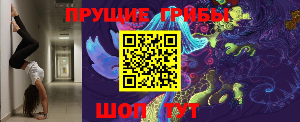 купить наркоту  Вход с VPN  Арсеньев  Псилоцибиновые грибы ЛСД  Псилоцибиновые грибы Psilocybe 